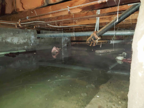 Best Fire Damage Restoration  in Marlborough, MO
