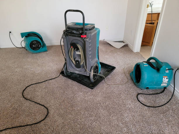 Best 24/7 water damage repair  in Marlborough, MO