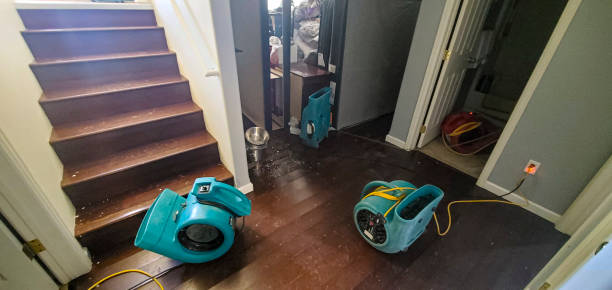 Best Local water damage restoration  in Marlborough, MO