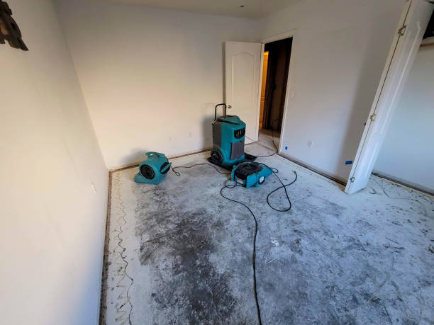Best Ceiling water damage repair  in Marlborough, MO