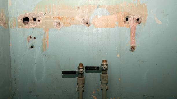 Best Flooded house restoration  in Marlborough, MO