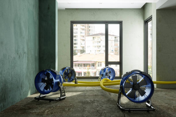 Best Ceiling water damage repair  in Marlborough, MO
